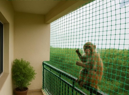 Monkey Safety Net Installation