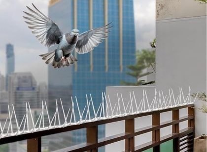 Modern Bird Control Spike Design